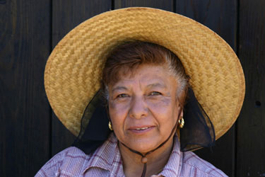 vendangeuse à Viña de liceaga